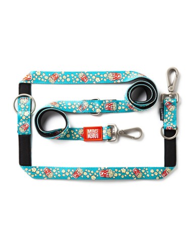 Multi-Function Leash - Popcorn