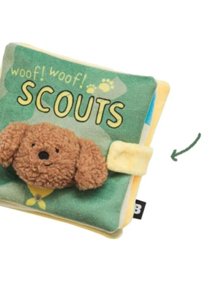 Scout Book