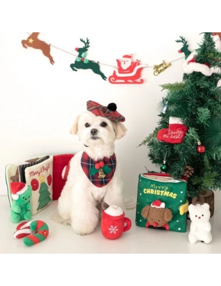 Merry Christmas book