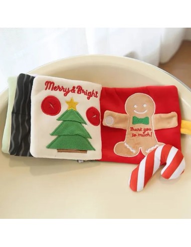 Merry Christmas book