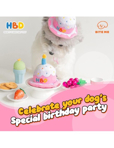 HBD Party Cake Hat