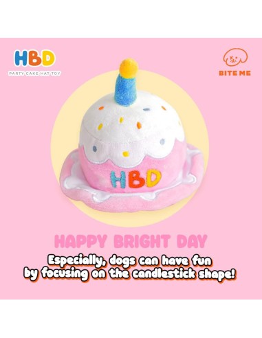 HBD Party Cake Hat