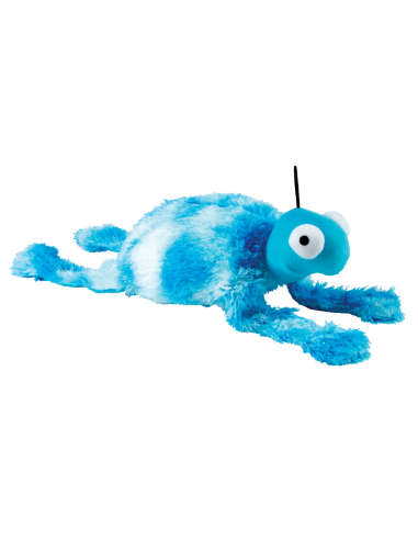Gor Reef - Turtle - Baby - Mix