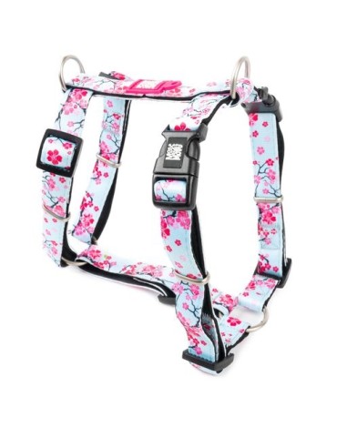 H-Harness - Cherry Bloom/L