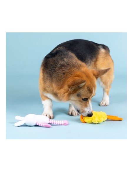 Hoppy Go Clucky 2pc Dog Set