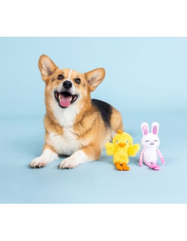 Hoppy Go Clucky 2pc Dog Set