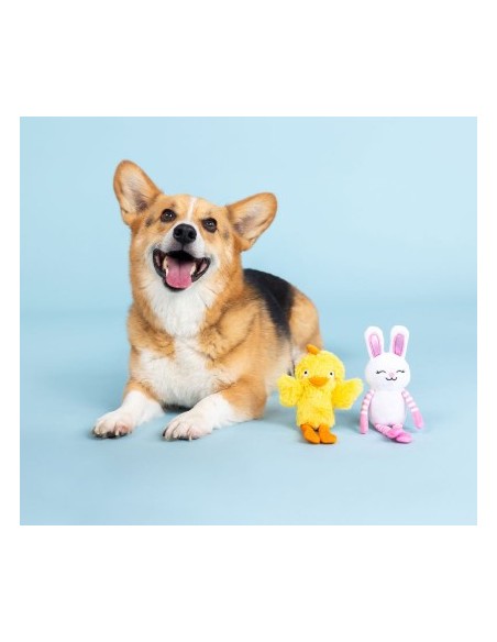 Hoppy Go Clucky 2pc Dog Set