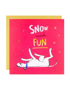 Snow much Fun