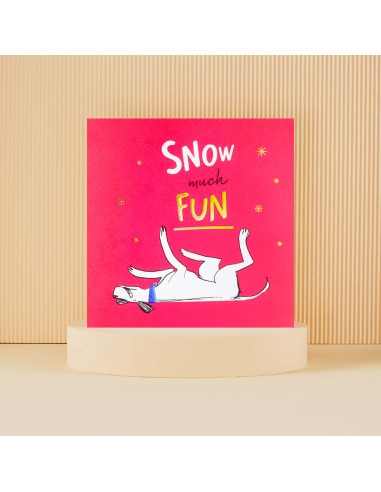 Snow much Fun