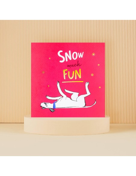 Snow much Fun