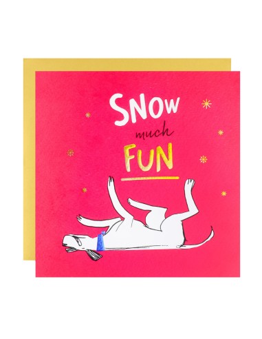 Snow much Fun