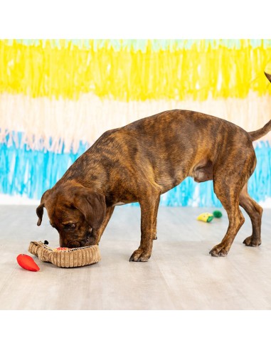 Fiesta 'till you siesta | Burrow