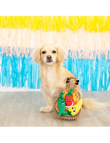 Fiesta 'till you siesta | Burrow