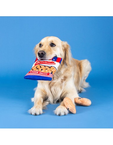 Nutin But Fun| Burrow