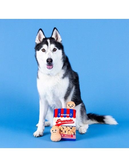 Nutin But Fun| Burrow