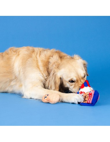 Nutin But Fun| Burrow