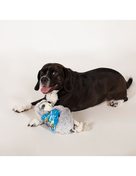 Slown' down for summer sloth