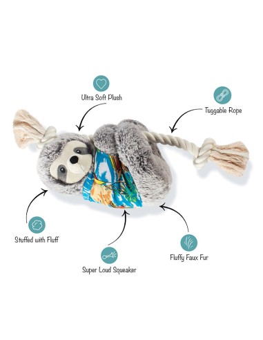 Slown' down for summer sloth