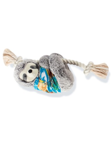 Slown' down for summer sloth