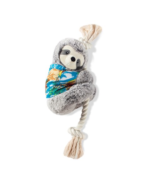 Slown' down for summer sloth