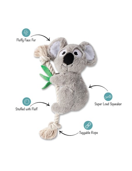 Koala
