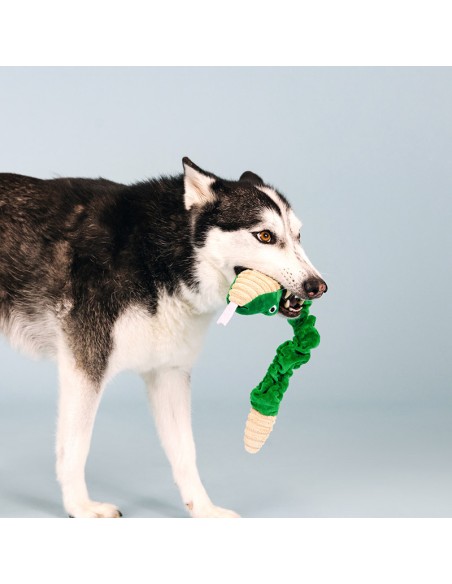 Hisses & kisses | Bungee