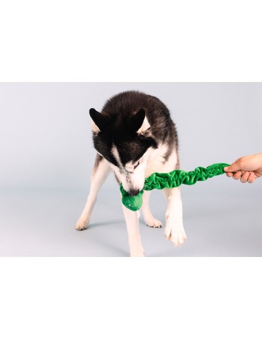 Hisses & kisses | Bungee