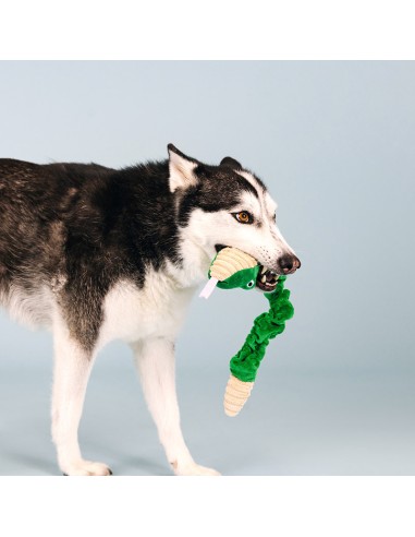 Hisses & kisses | Bungee