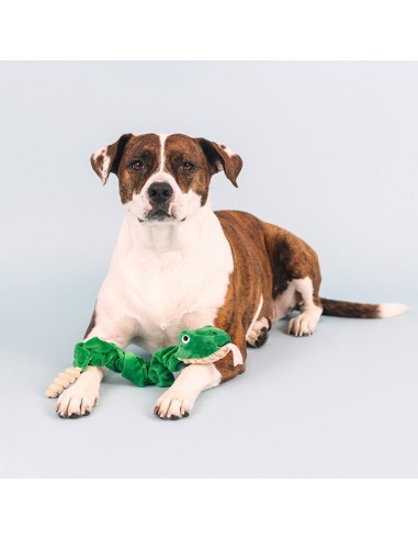 Hisses & kisses | Bungee