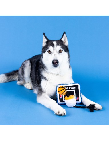 Take It To The Hoop | Touw