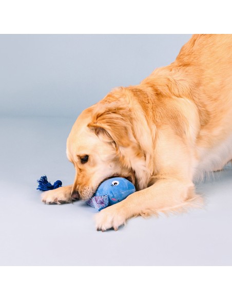 Do the right sting | Corde