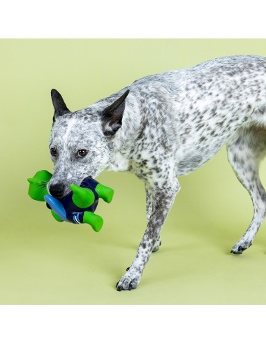 Good Vibes High Tides | Latex