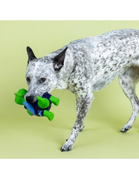 Good Vibes High Tides | Latex