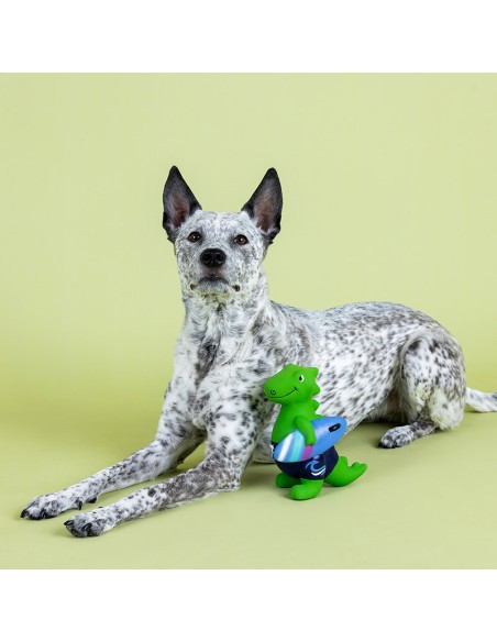 Good Vibes High Tides | Latex