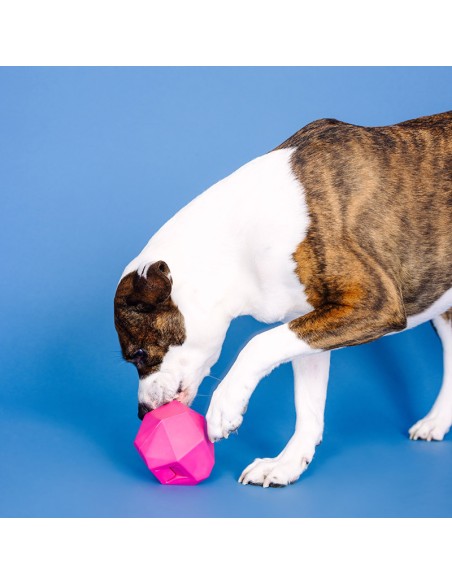 Having A Ball Hot Pink Rubber Dog Toy - pack of 4