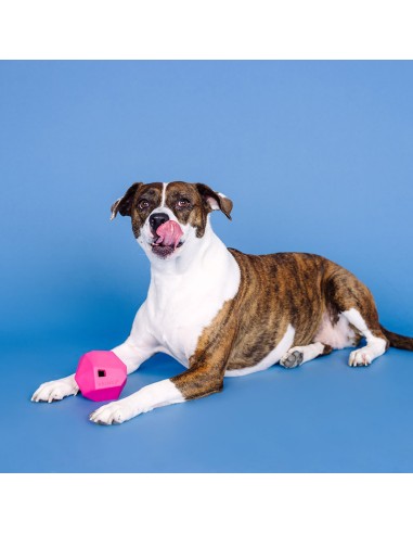Having A Ball Hot Pink Rubber Dog Toy - pack of 4