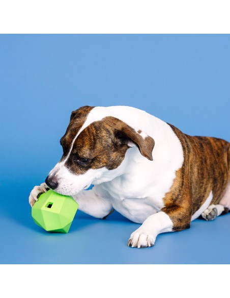 Having A Ball Lime Rubber Dog Toy - pack of 4
