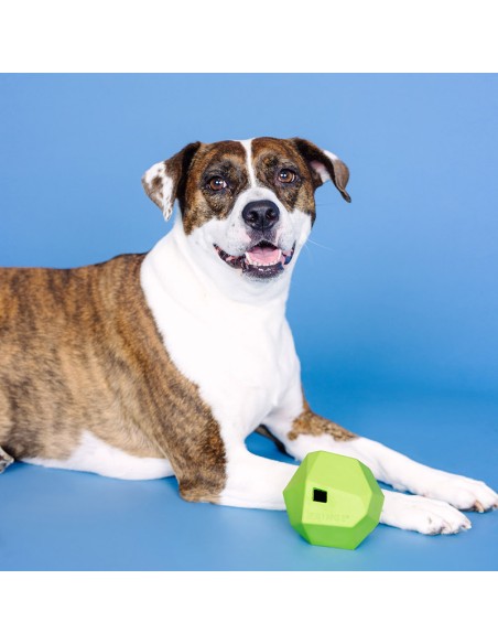 Having A Ball Lime Rubber Dog Toy - pack of 4
