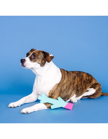 Stick with me turquoise/pink | Rubber