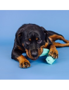 Color me happy turquoise | Rubber 2