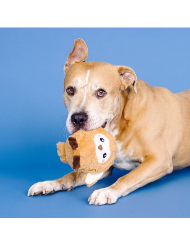 Don't Ruffle My Feathers Rubber/Plush Dog Toy -...