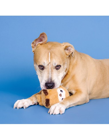 Don't Ruffle My Feathers Rubber/Plush Dog Toy -...