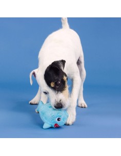 Out of the blue | Rubber 2