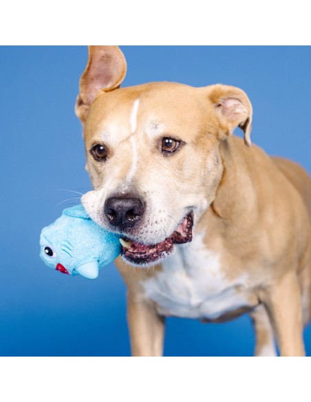 Out of the blue | Rubber