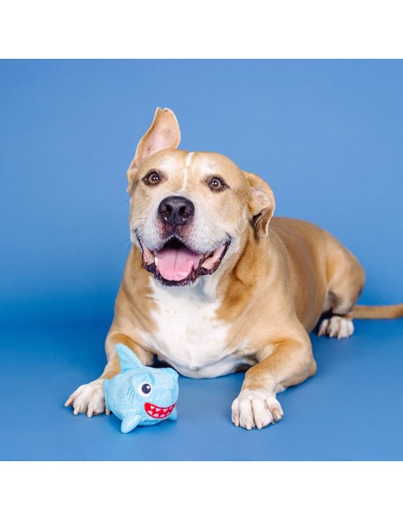 Out of the blue | Rubber