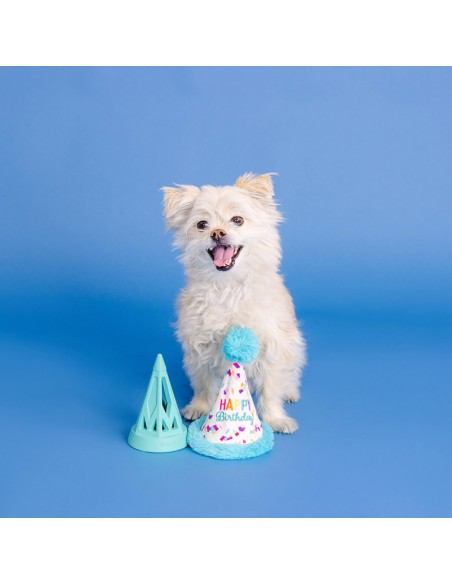 Yappy barkday | Rubber