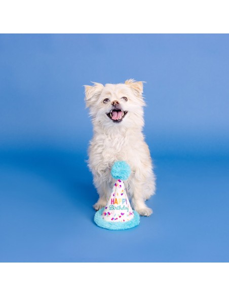 Yappy barkday | Rubber