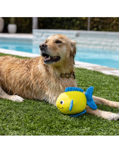 Pipsqueak | Floating