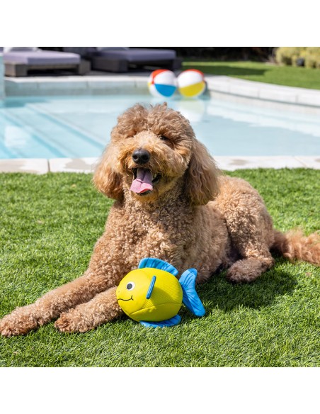 Pipsqueak | Floating