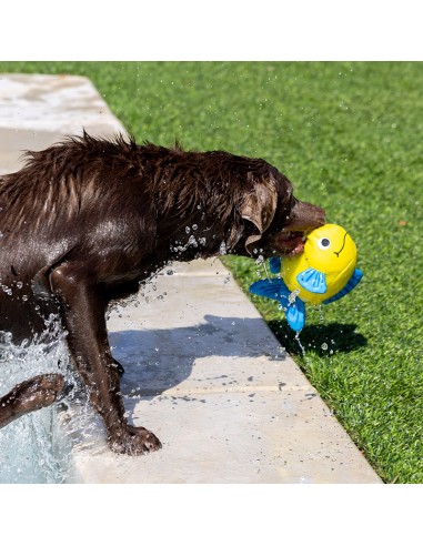 Pipsqueak | Floating